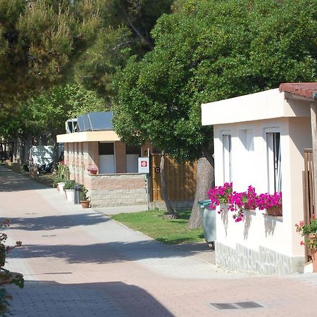 Camping Vallecrosia Hotel Buitenkant foto