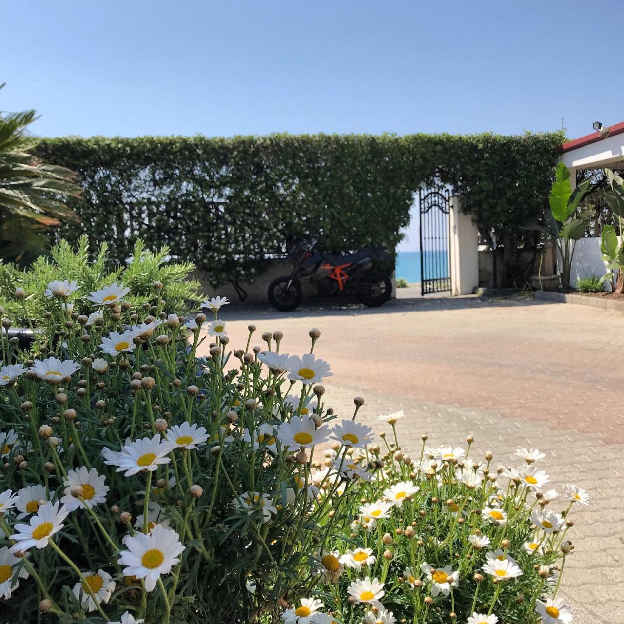 Camping Vallecrosia Buitenkant foto